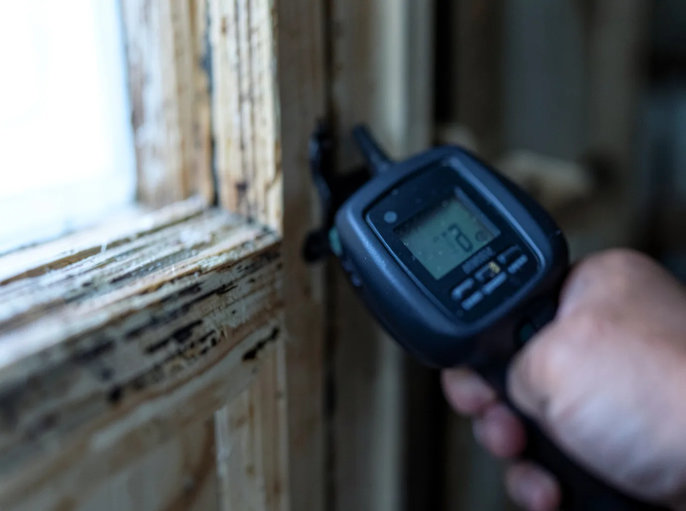 Commercial Water Damage Restoration in Rugby, TN